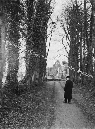 AVENUE  OLD CEMETERY